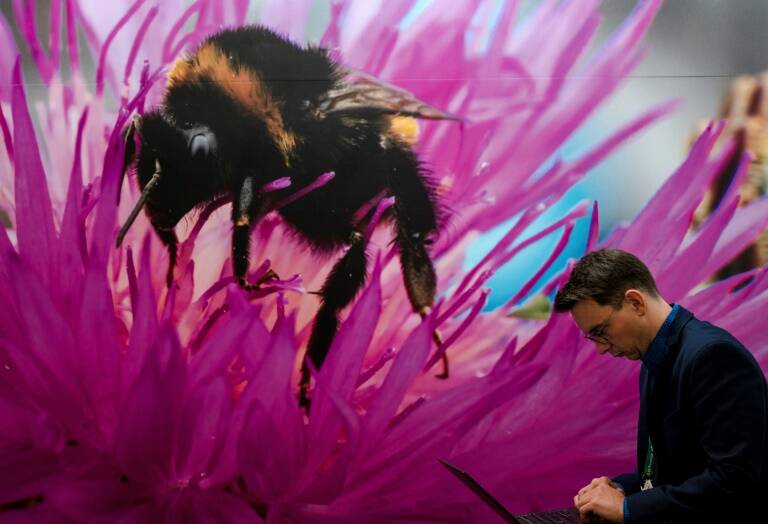 Nature,environment,UN,COP15