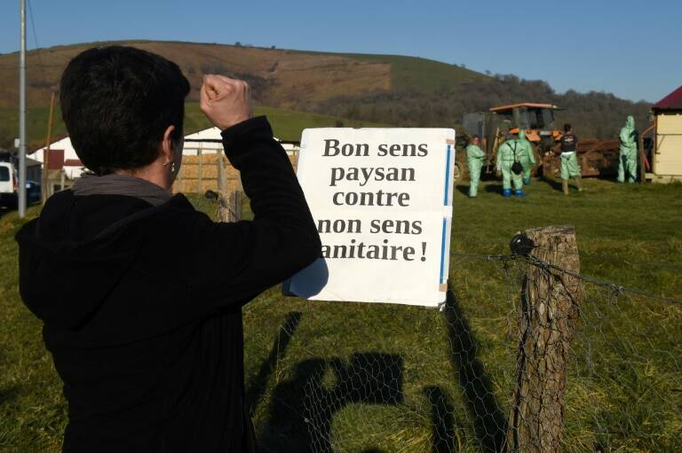 Francia - gobierno - animales - ganadería - alimentación - salud