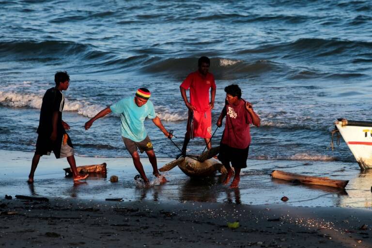 Nicaragua,animales,sociedad