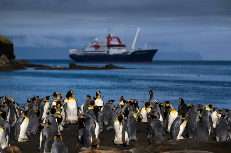Francia,animales,medioambiente,naturaleza,ultramar