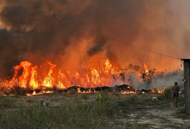 medioambiente - incendios - Brasil - clima