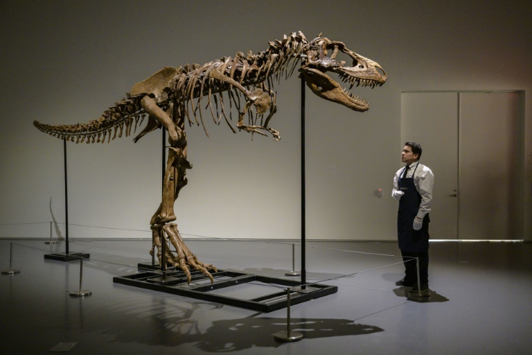 EEUU - paleontología - remates - dinosaurio