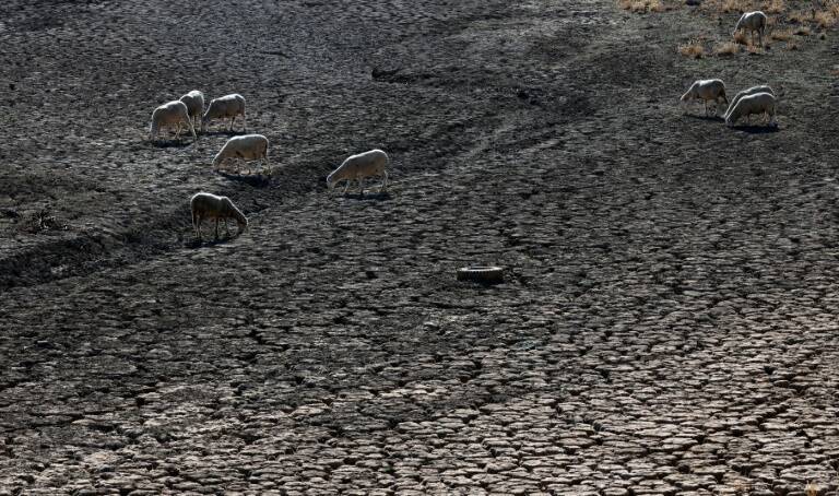 USA - climat - économie