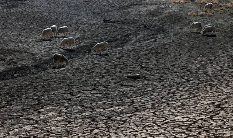 USA - climat - conomie