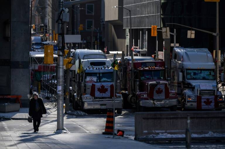 politique - vaccins - manifestation - gouvernement - Canada - Etats - Unis - sant - pandmie