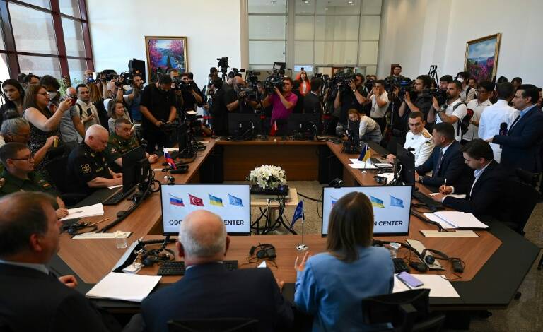 Turquía - Ucrania - Rusia - conflicto - materias - primas - diplomacia - agricultura