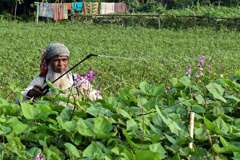 Bangladés,ayuda,FMI