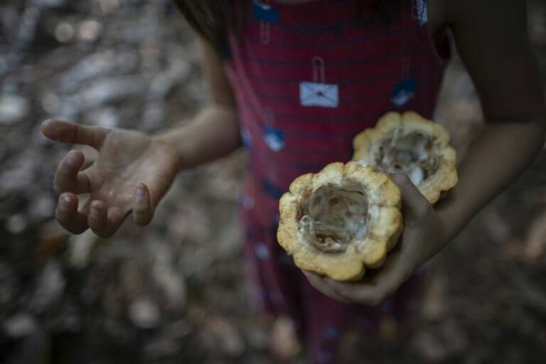 Suiza,cacao,alimentación,niños