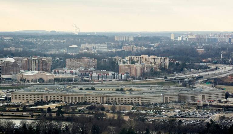 USA,animaux,armée,défense,insolite,espionnage