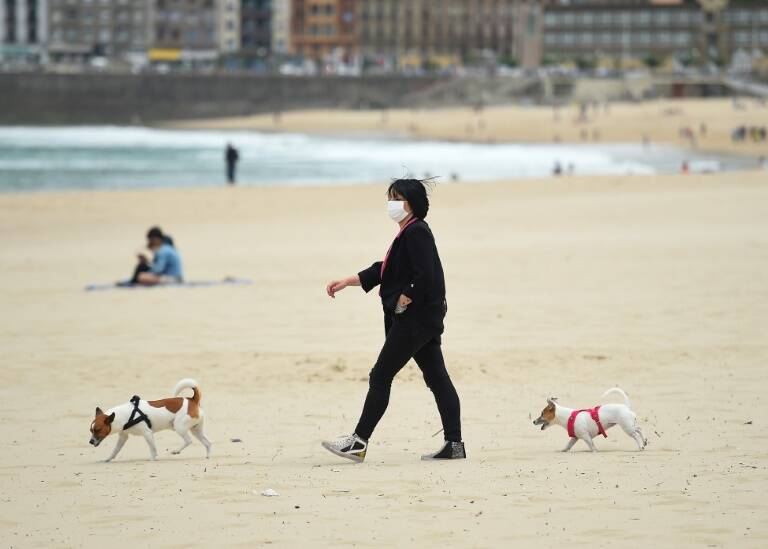 España,divorcio,animales