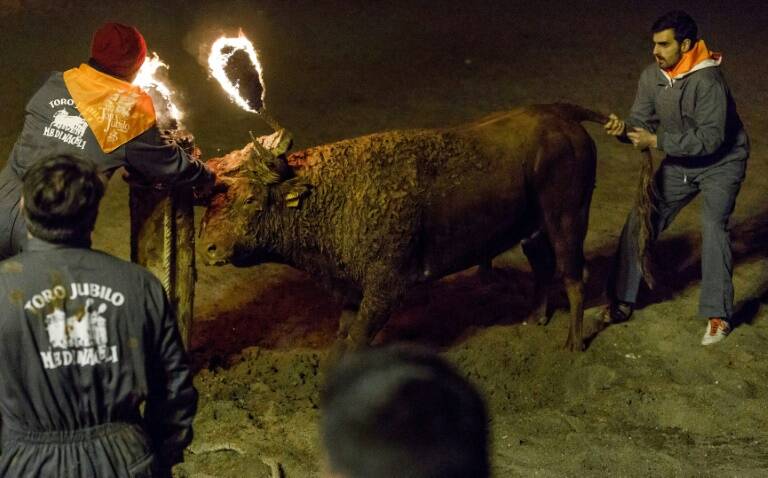 Espaa - tradicin - animales - toros - maltrato