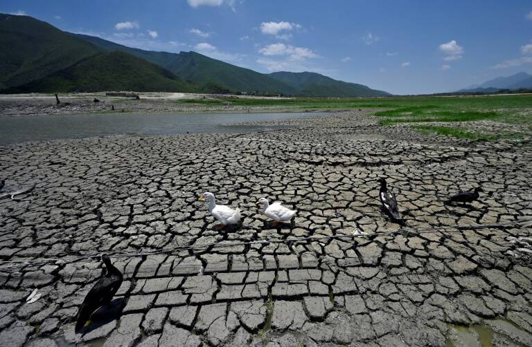 agua,sequía,México,energía,política