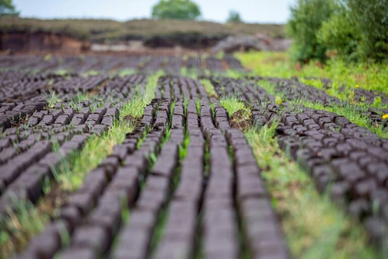 Ireland - environment - agriculture