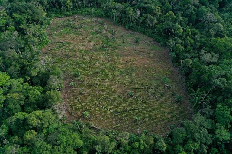 Colombia - medioambiente