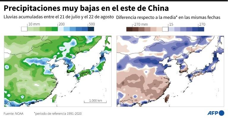 noticia