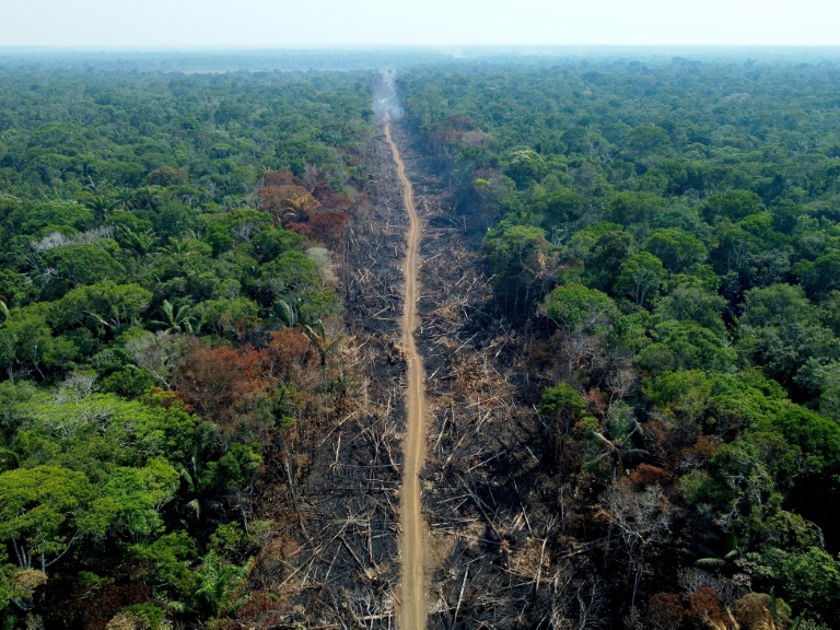 Brasil - medioambiente - clima - poltica