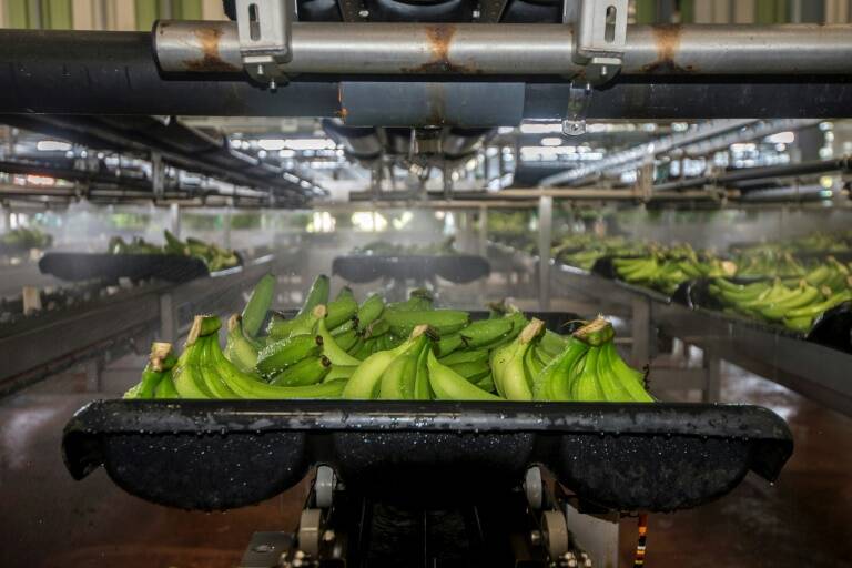 medioambiente,agricultura,Caribe,Francia