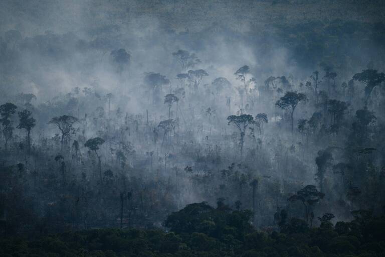 Brasil - medioambiente - incendio - bosques