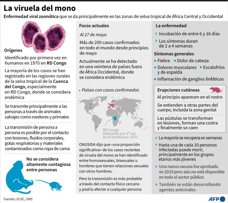 Health - virus - monkeypox - WHO