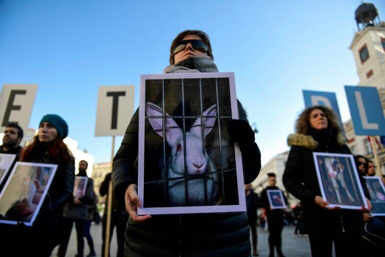España - animales - gobierno