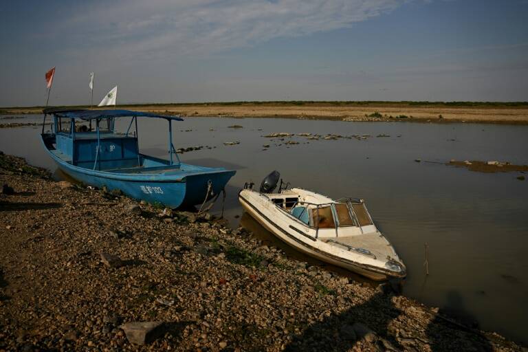 China,wetlands,drought,animal