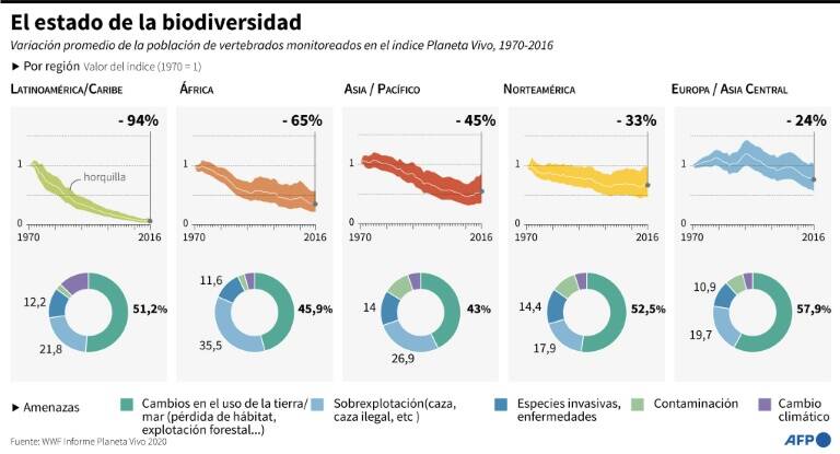 noticia