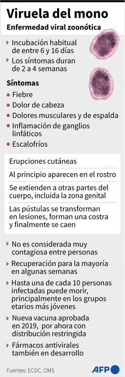 noticia