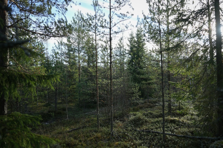 UE - clima - medioambiente - patrimonio - bosques - Finlandia - Francia - Suecia