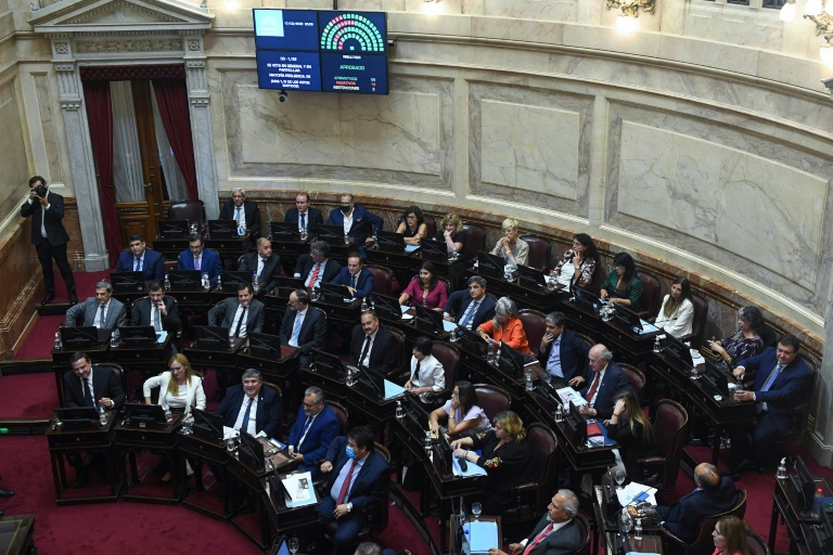 Argentina - Parlamento - deuda - FMI
