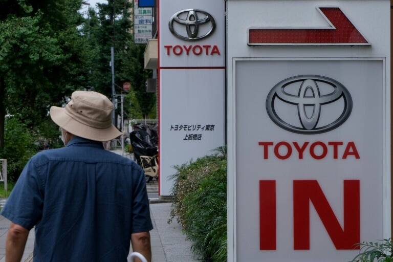 Japón - automóvil - clima - ONG - empresas