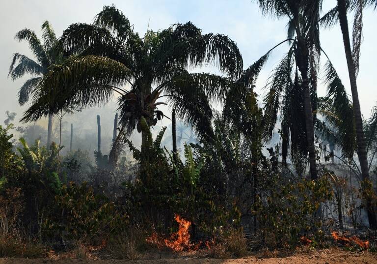 medioambiente - política - Macron - Bolsonaro - Brasil
