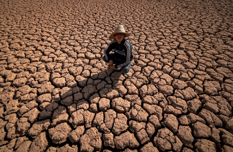 Maroc - social - climat - scheresse - eau - agriculture