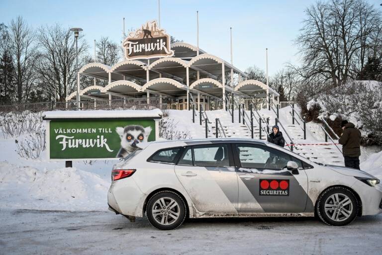 animales - zoologa - Suecia