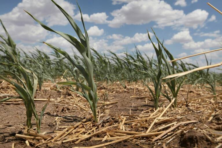 USA,climat,météo,sécheresse,environnement