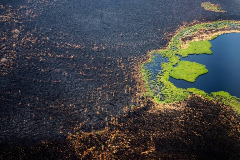 climat - environnement - incendie - sciences