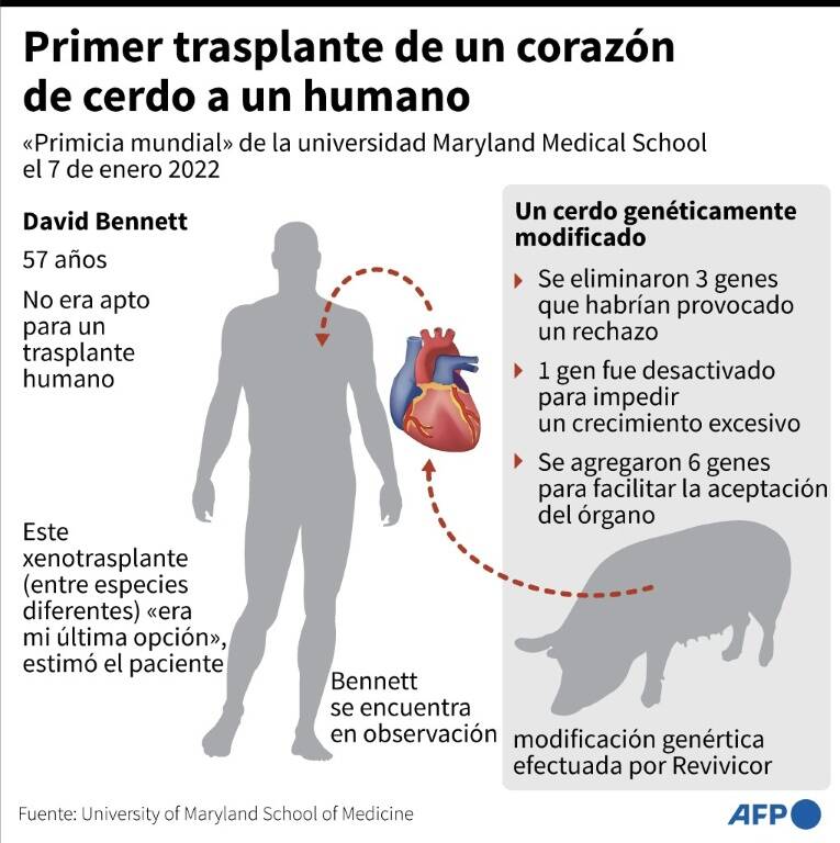 noticia