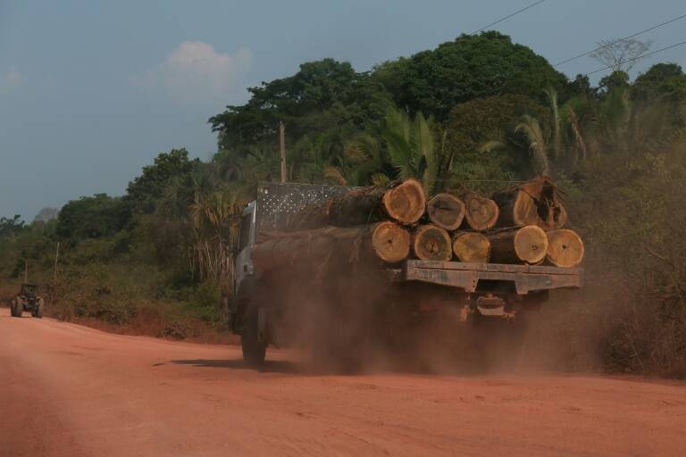 Brasil,medioambiente,elecciones