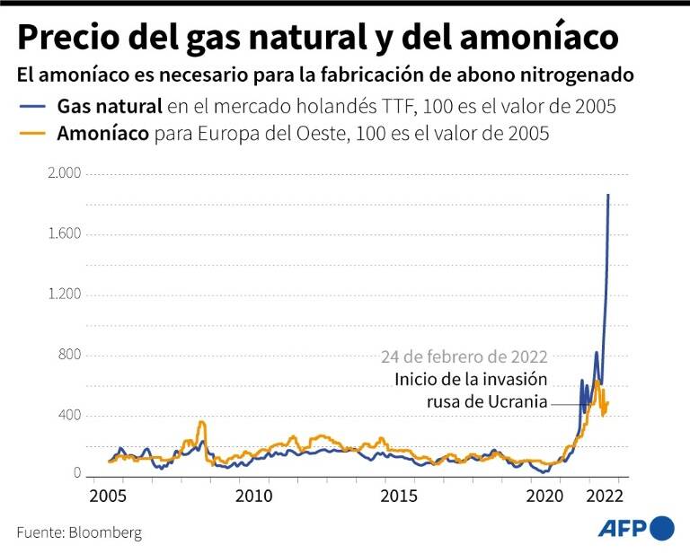 noticia
