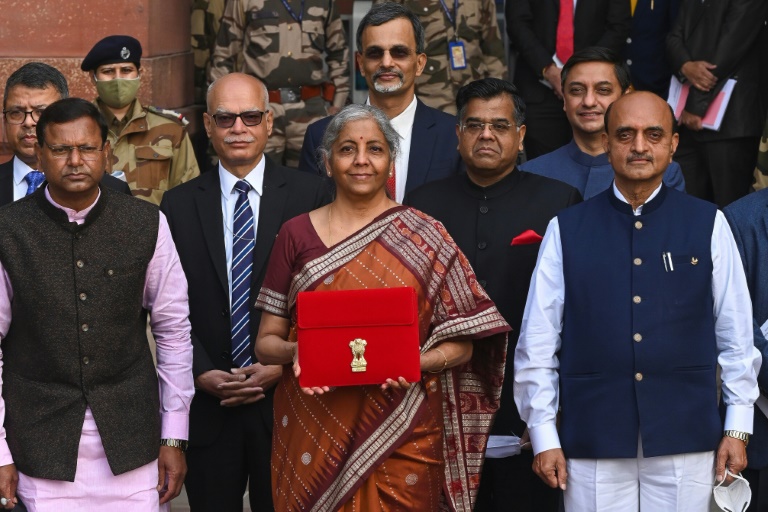 India - economy - budget