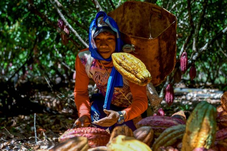 Colombia,narcotráfico,agricultura