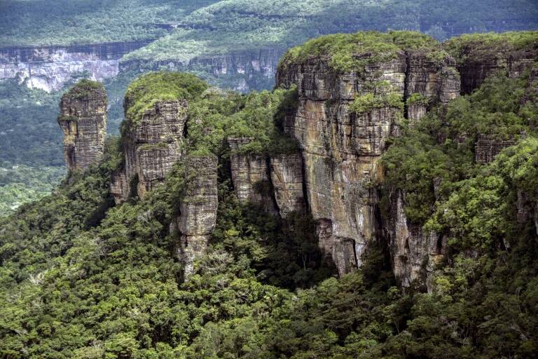 Colombia - fuerzas - armadas - medioambiente - secuestro