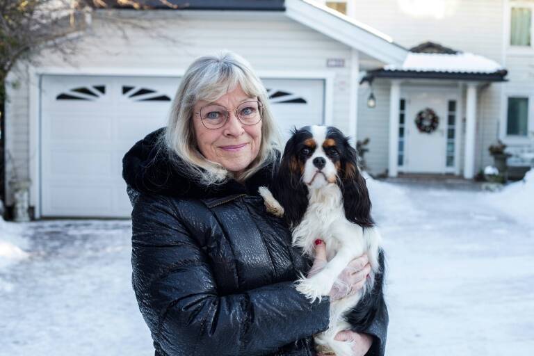 Noruega,animales,sociedad,justicia,perros