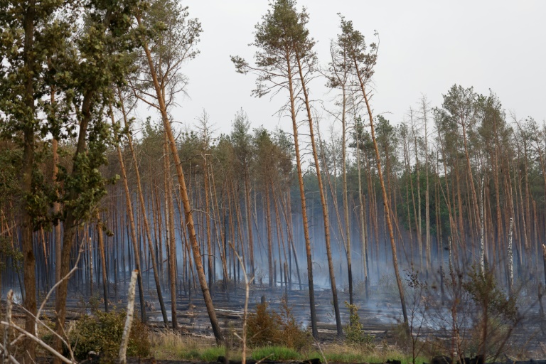 Germany - forests - fire - climate