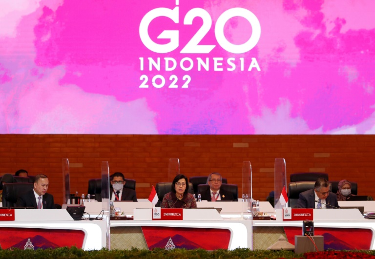 économie, croissance, indicateur, organisation, diplomatie, G20