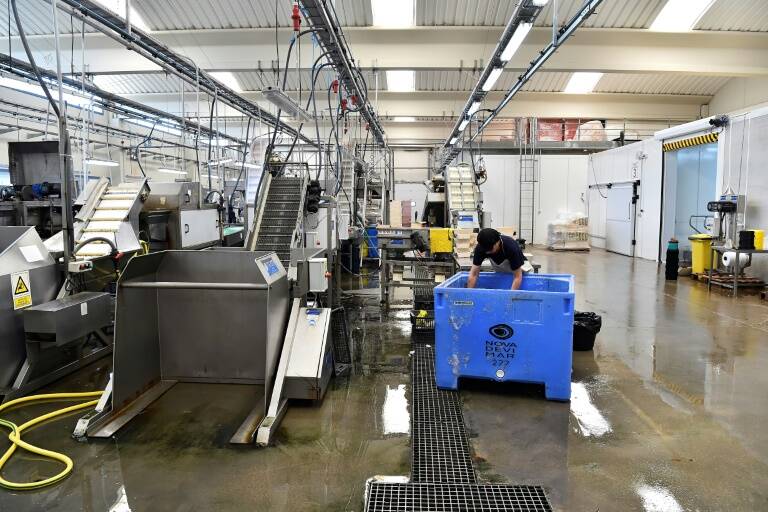 España,industria,índices