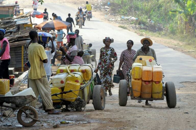 Lassa,Guinea,epidemia,virus,salud