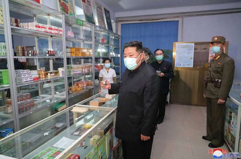 Health,virus,NKorea