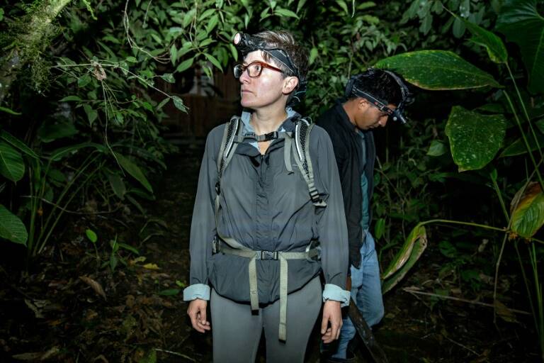 Ecuador - medioambiente - minería - animales - ciencias - contaminación