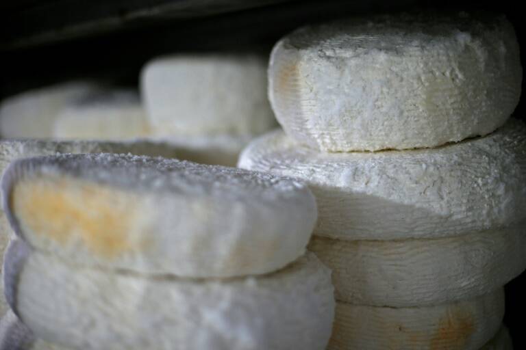economía,Ucrania,inflación,Rusia,agricultura,precios,alimentos,alimentación