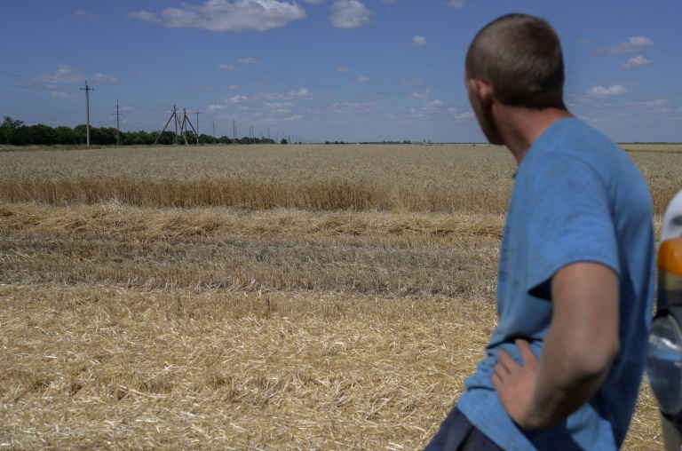 Ukraine - Russia - conflict - agriculture - grain